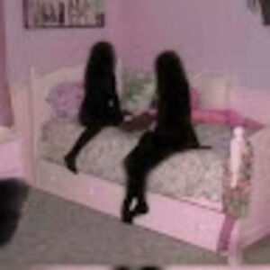 Meet your Posher, Apollo